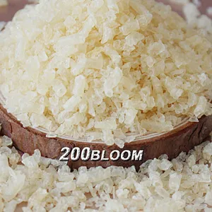 Wholesale price gelatin High quality Bovine Food Grade gelatin powder